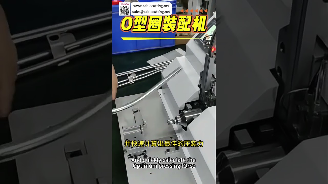 Custom Smart Automation Assembly Equipment High Efficiency Precision Manufacturing System Tool - Shorts