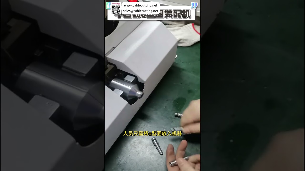 Semi Automatic O Ring Assembly Machine High Quality Precision Automated Production Machinery - Shorts