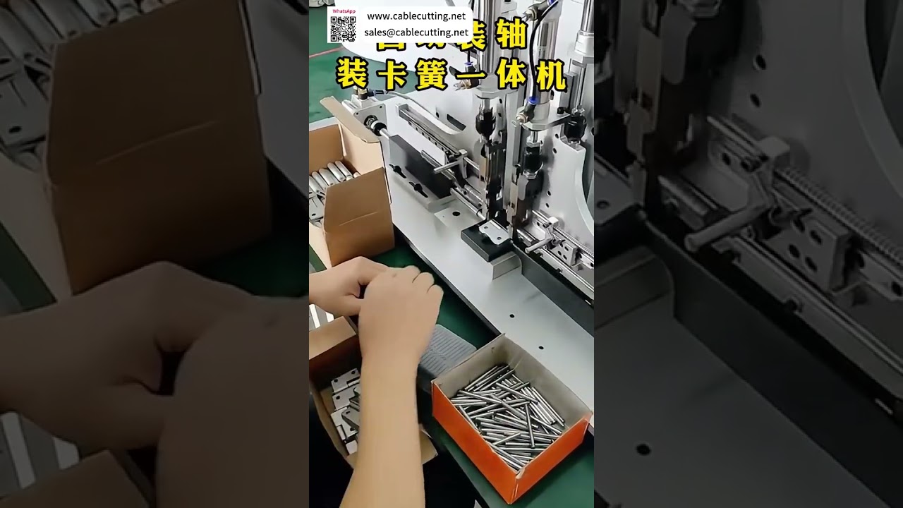 Integrated Automatic Shaft Circlip Assembly Machine High Efficiency Auto Production Machinery - Shorts