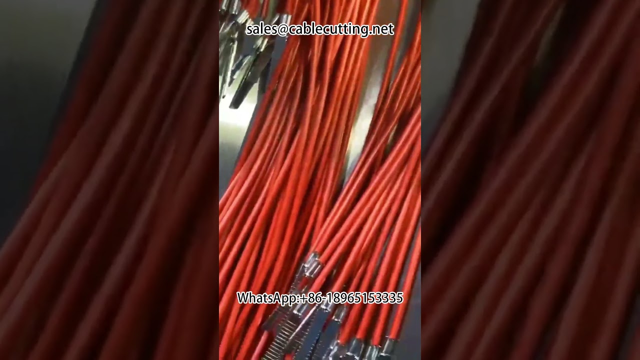 Automatic Double Head Termination Single Penetration Waterproof Plug Stripping Machine