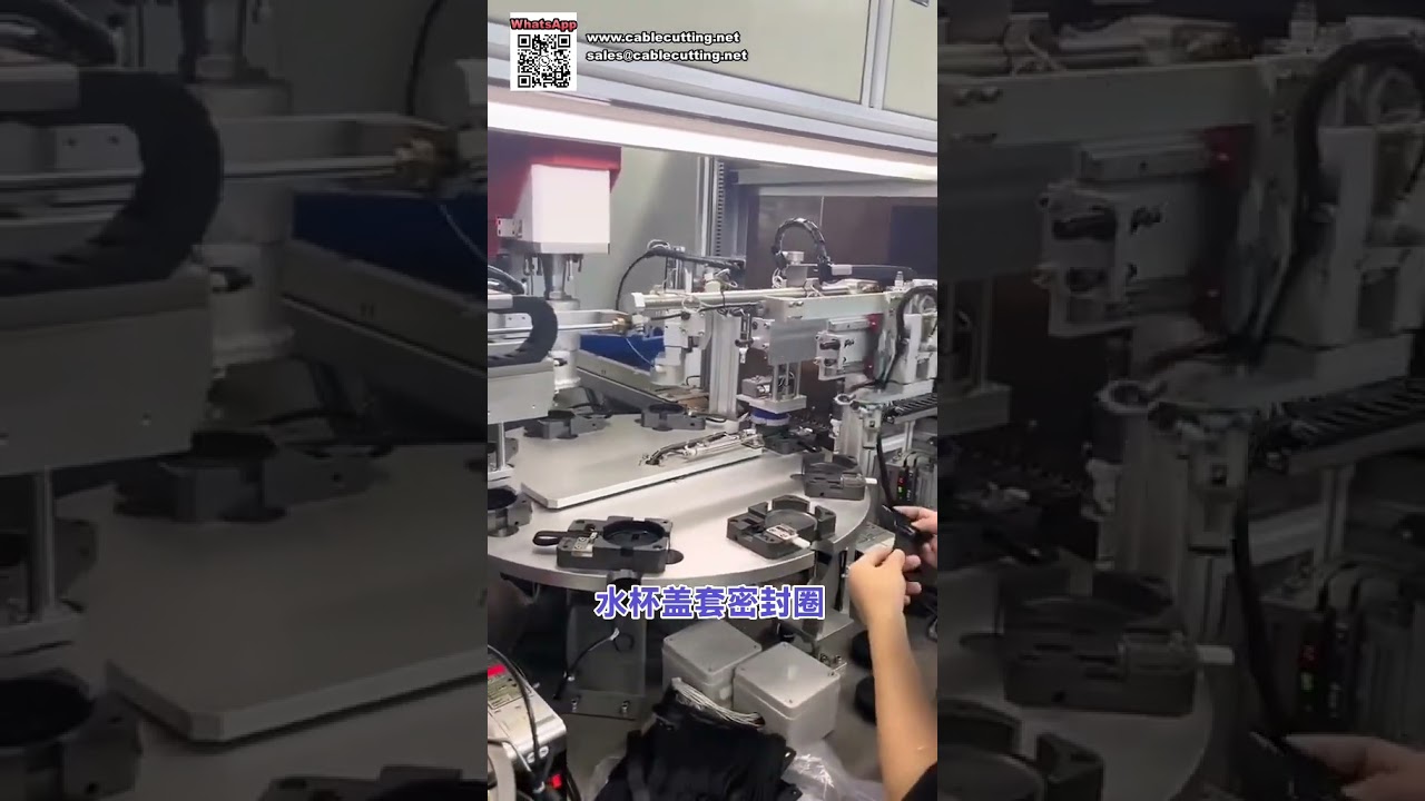 Automated Assembly Equipment for Thermos Water Bottle Lids and Cup Accessories - Shorts