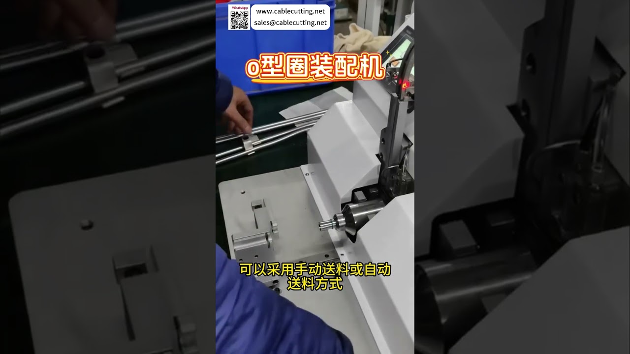 High Efficiency O Ring Assembly Machine Maker Professional Automatic Sealing Ring Auto Equipment - Shorts