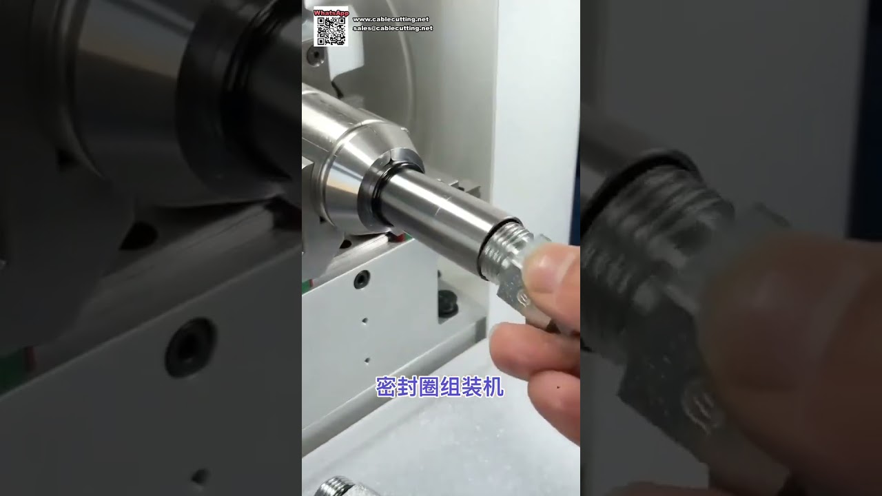 O Ring Assembly Equipment for Automotive Parts, Hardware Tools and Pneumatic Parts - Video