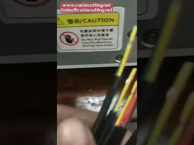 Sheathed Wire Stripping Machine for Multi-Core, Flat, and Double Parallel Wires