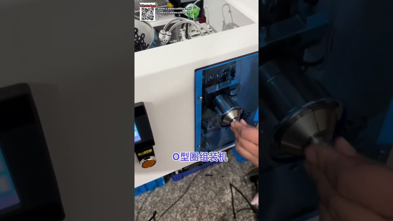 Ultra Fast Automatic O Ring Seal Assembly Machine for Sealing Components Production - Shorts