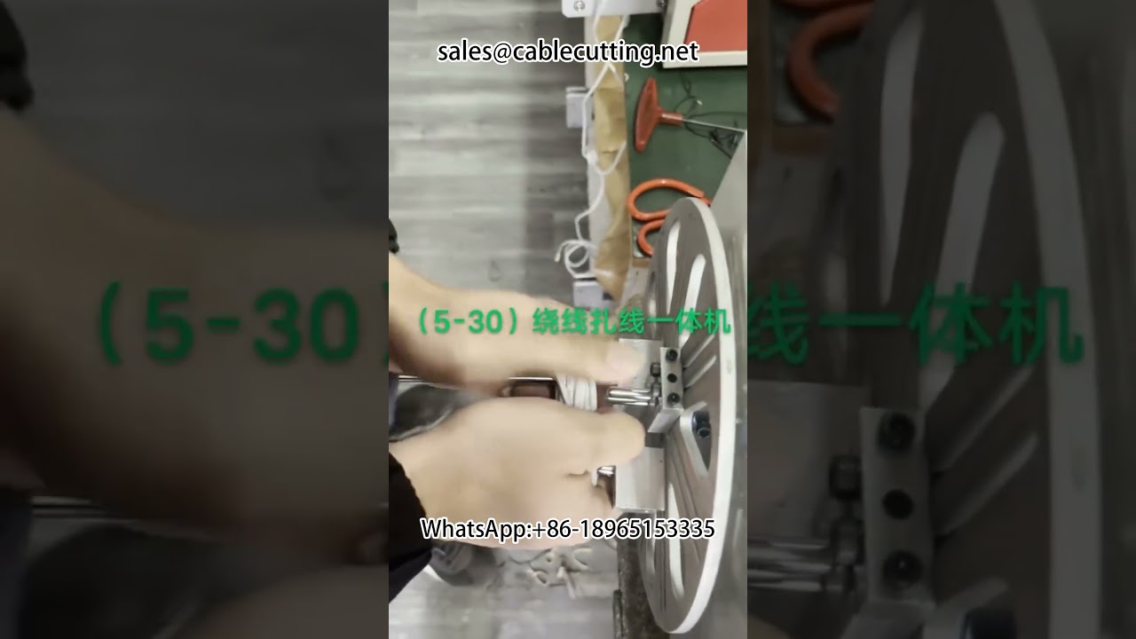 Custom Non-Standard Automation Equipment for Wire Processing