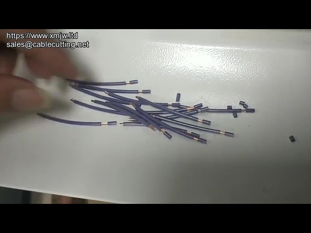 4-sqmm Two-Electronic-Cable Automatic Cutting and Stripping Machine