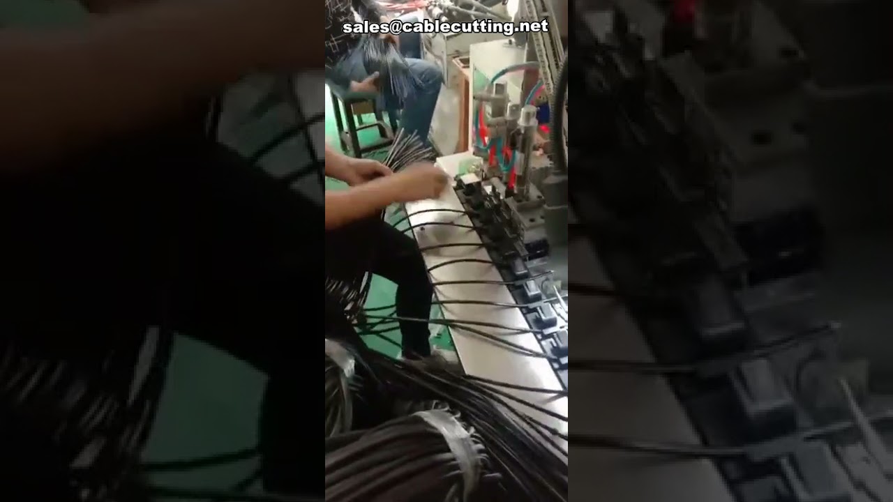 Automatic Tow-Pin Plug Terminal Crimping Machine for Plastic Plug Assembly