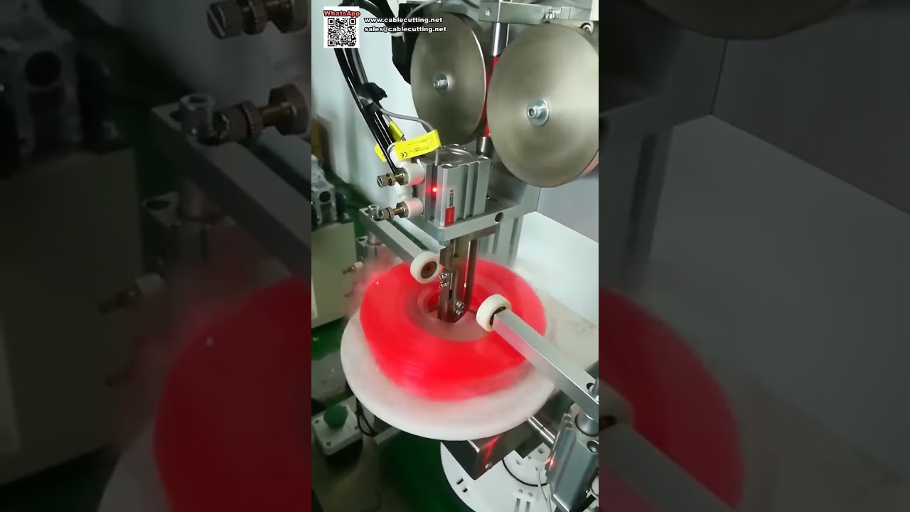 Fully Automatic Vertical Pound Spool Blister Packaging Machine Production Line - Shorts