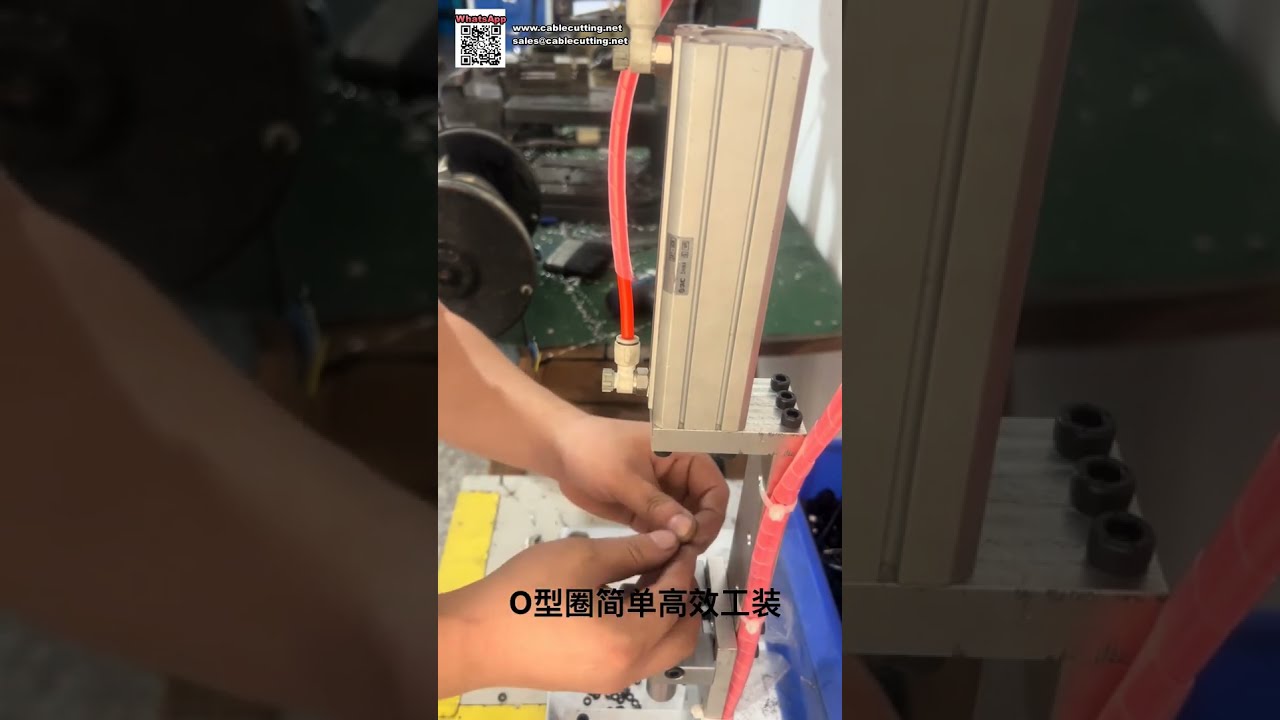 Automated O Ring Seal Assembly Machine and Precision Sealing Ring Mold Equipment - Shorts