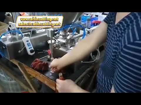 Μηχανή Πλήρωσης Παχύρρευστων Προϊόντων 10ml-5000ml | Μονή & Διπλή Κεφαλή