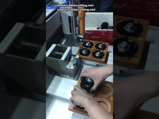 5331 Auto Screwing Machine, Double-Y Platform Robot Fastening System