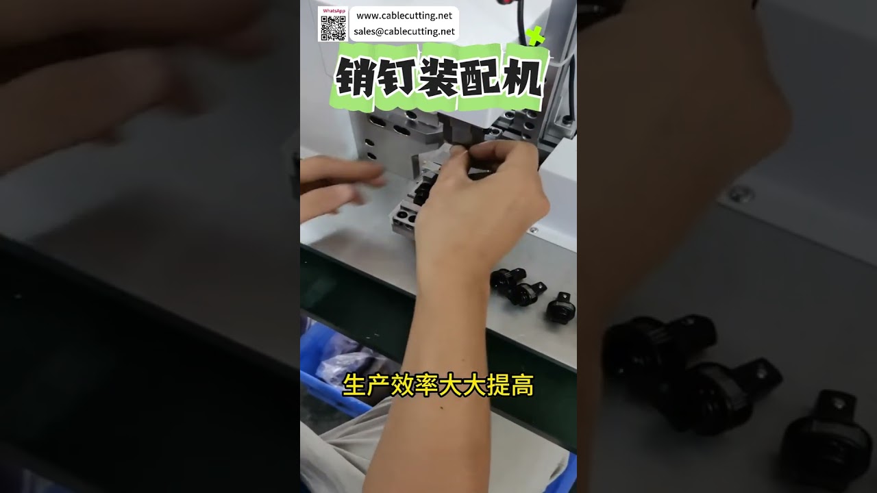 Automatic Dowel Pin Assembly Machine High Precision Innovative Industrial Manufacturing Auto Tool - Shorts