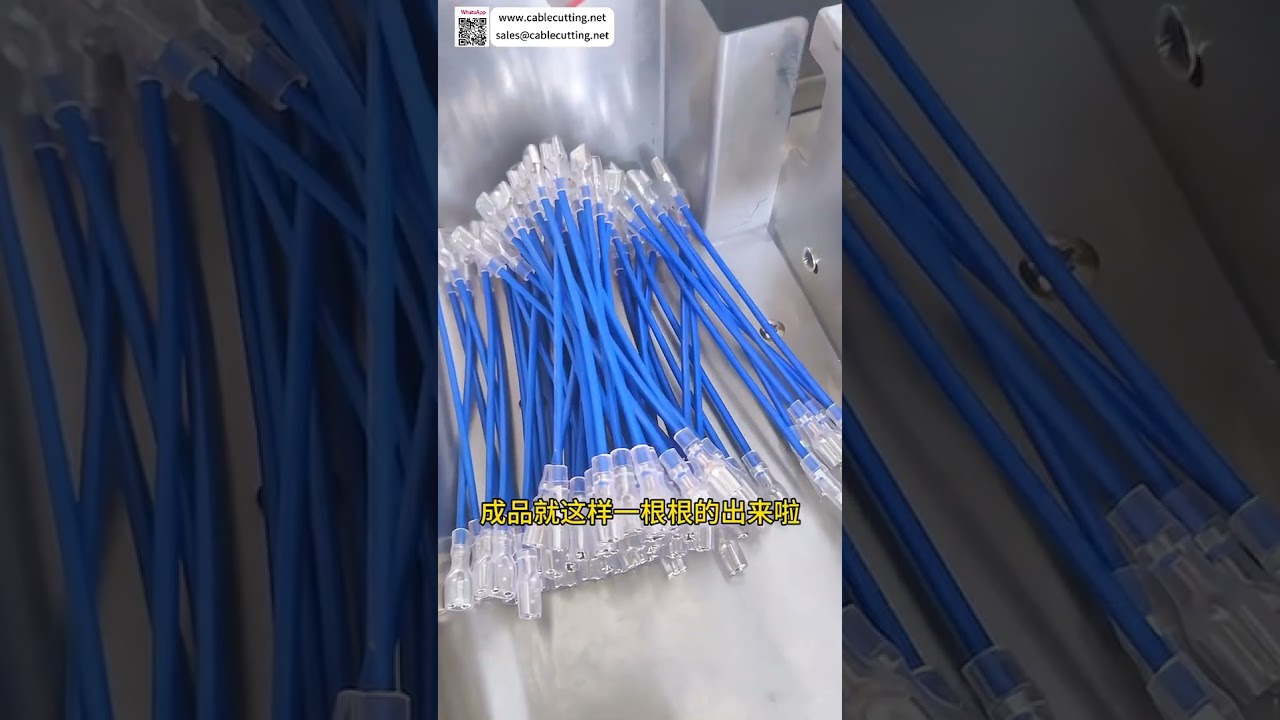 Dual Head Housing Insertion Terminal Wire Harness Processing Machine  Cable Assembly Auto - Shorts
