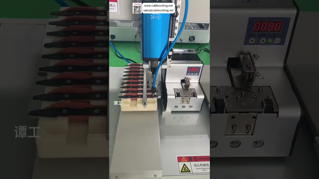Tool Torx Screw Automatic Screwdriving Machine  Factory Automation System  Fast Production - Shorts