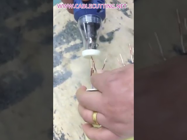 Hand Held Enamel Wire Stripping Machine