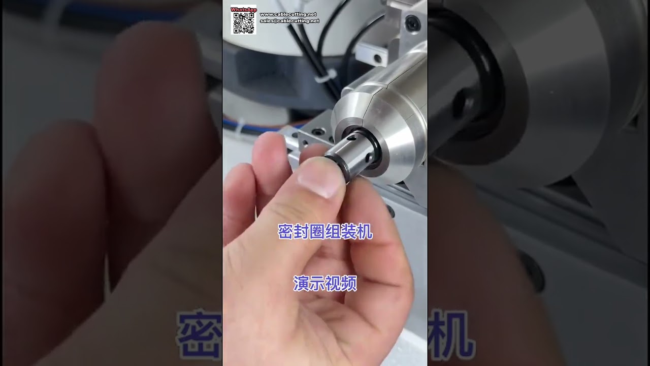 Automatic O Ring Assembly Machine for Pneumatic Components and Sealing Solutions - Shorts