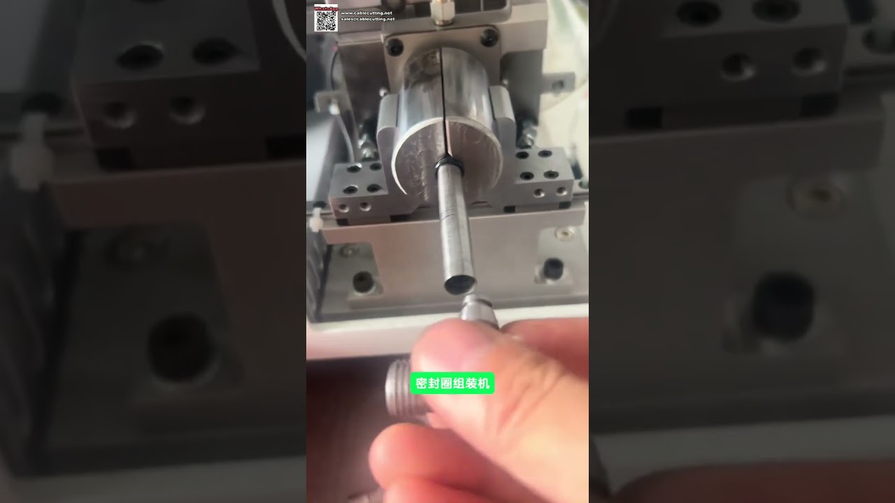 Automated O Ring Assembly Machine Equipment for Rubber Flexible Joint Seals Production - Shorts