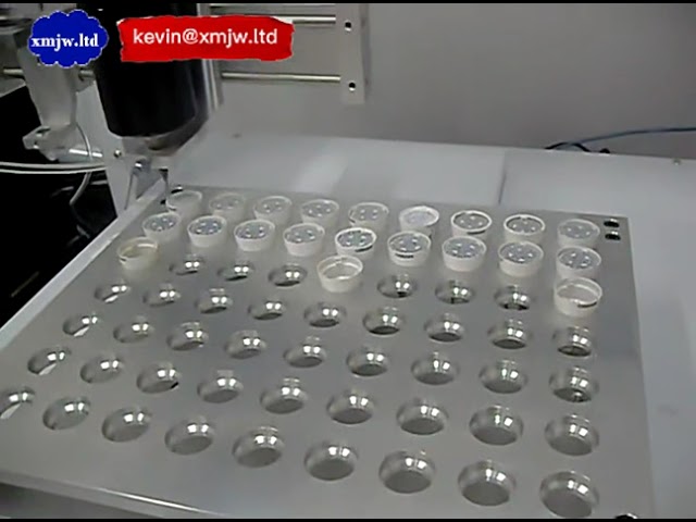 Hot Sale CE Approved Precision Automatic Silicone Glue Dispenser Robot