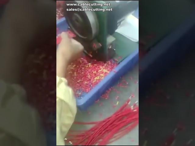 100T Half Stripping and Twisting Machine | Wire Peeling and Twisting Automation