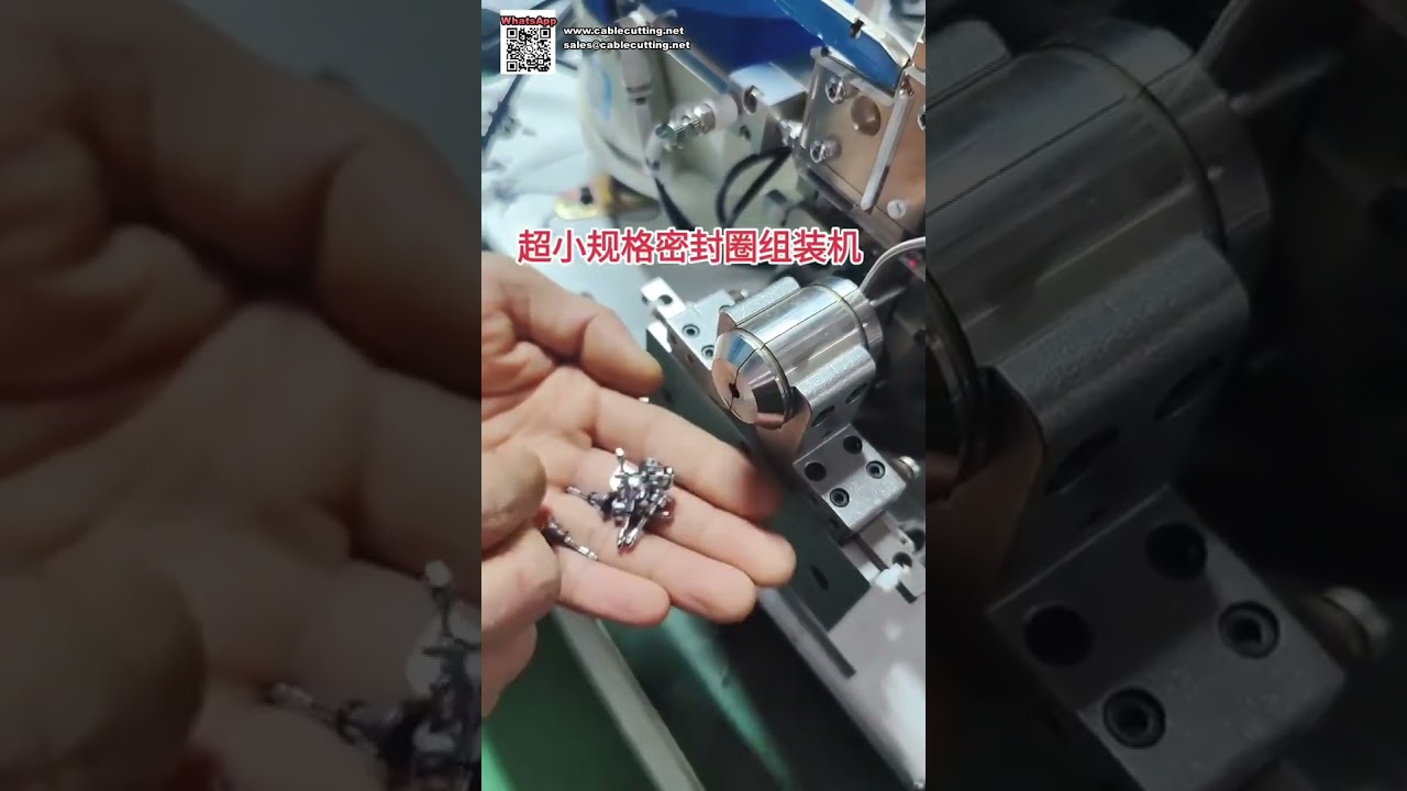 Factory Direct Ultra Small Micro O Ring Seal Assembly Machine Production Equipment - Shorts