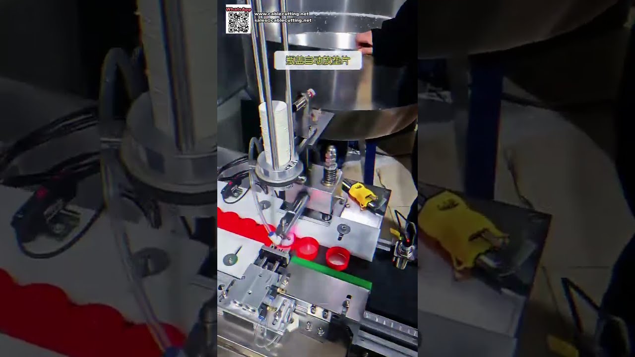 Automated Bottle Cap Assembly Machine and Metal Detection Equipment for Food Industry - Shorts