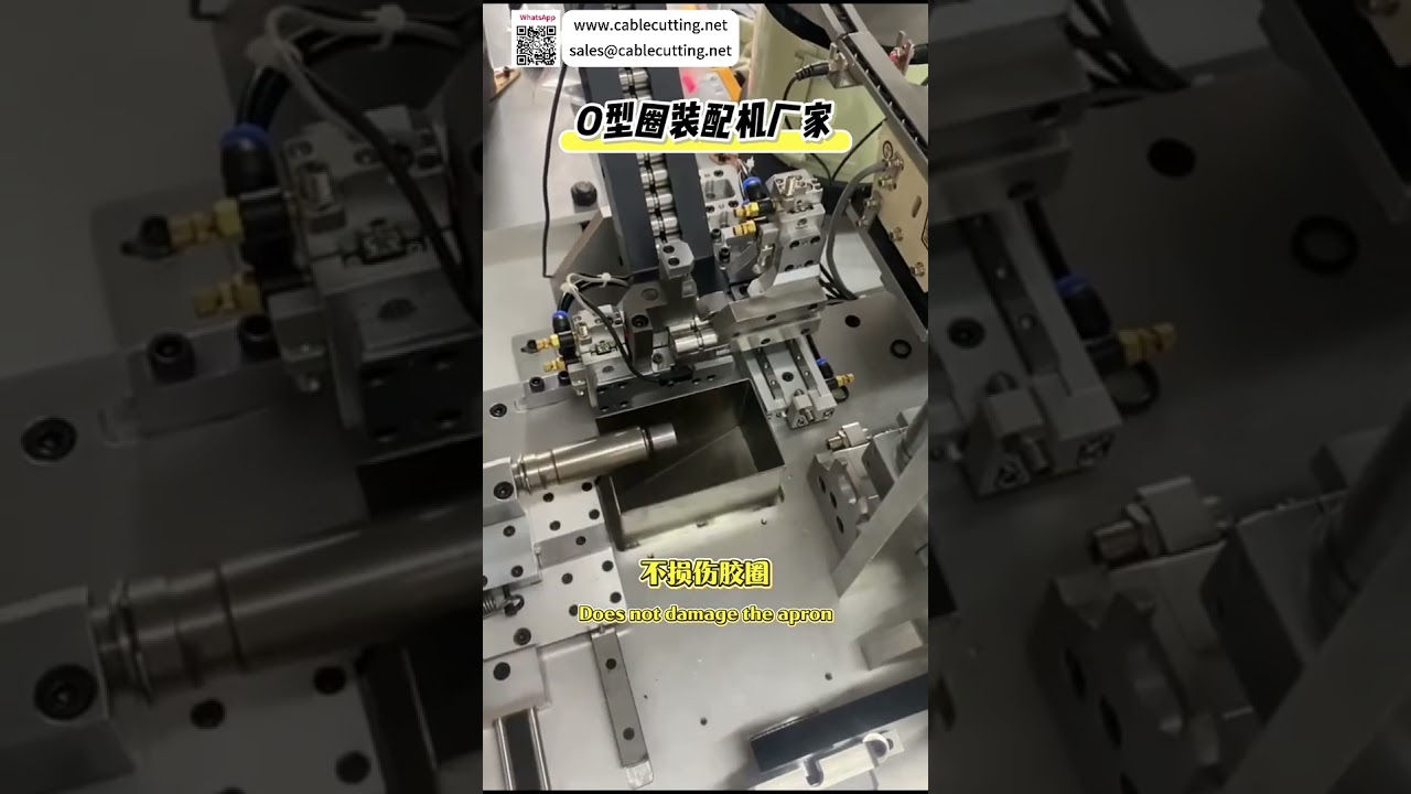 Automatic O Ring Assembly Machine High Precision Reliable Sealing Ring Equipment Supplier - Shorts