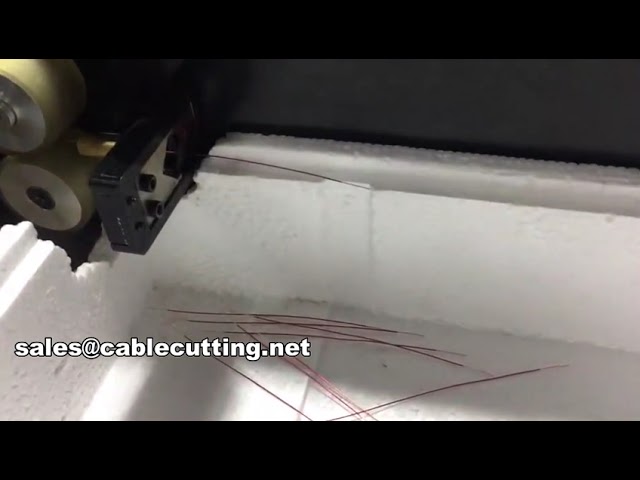 Magnet Wire Cutting and Stripping Machine WPM-05-25