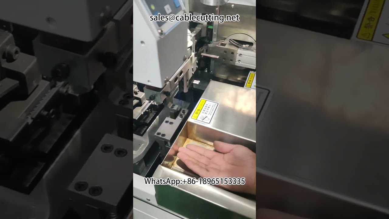 Automatic Double Head Wire Stripping Machine for Harness and Automation Equipment