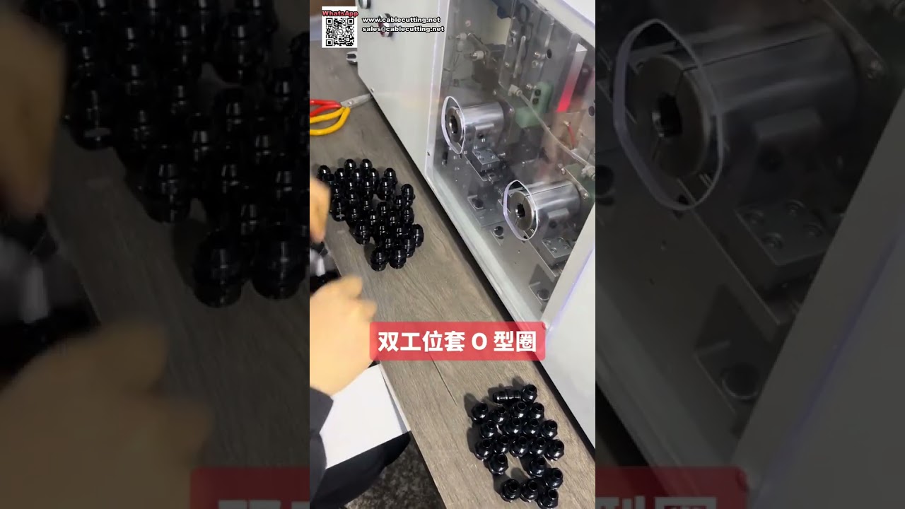 Automated O Ring Assembly Machine for Hardware Fittings Manufacturing Equipment