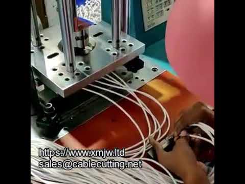 WPM-150 Standard Injection Molding Machine