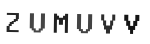 Verification Code Image