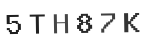 Verification Code Image