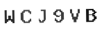 Verification Code Image